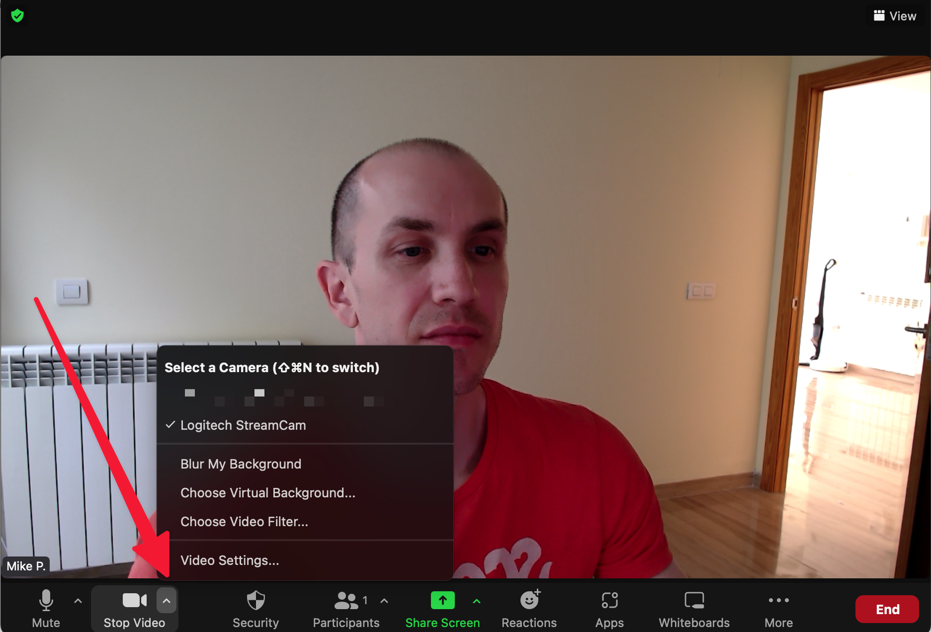25 Best Beach Zoom Backgrounds (with Video)