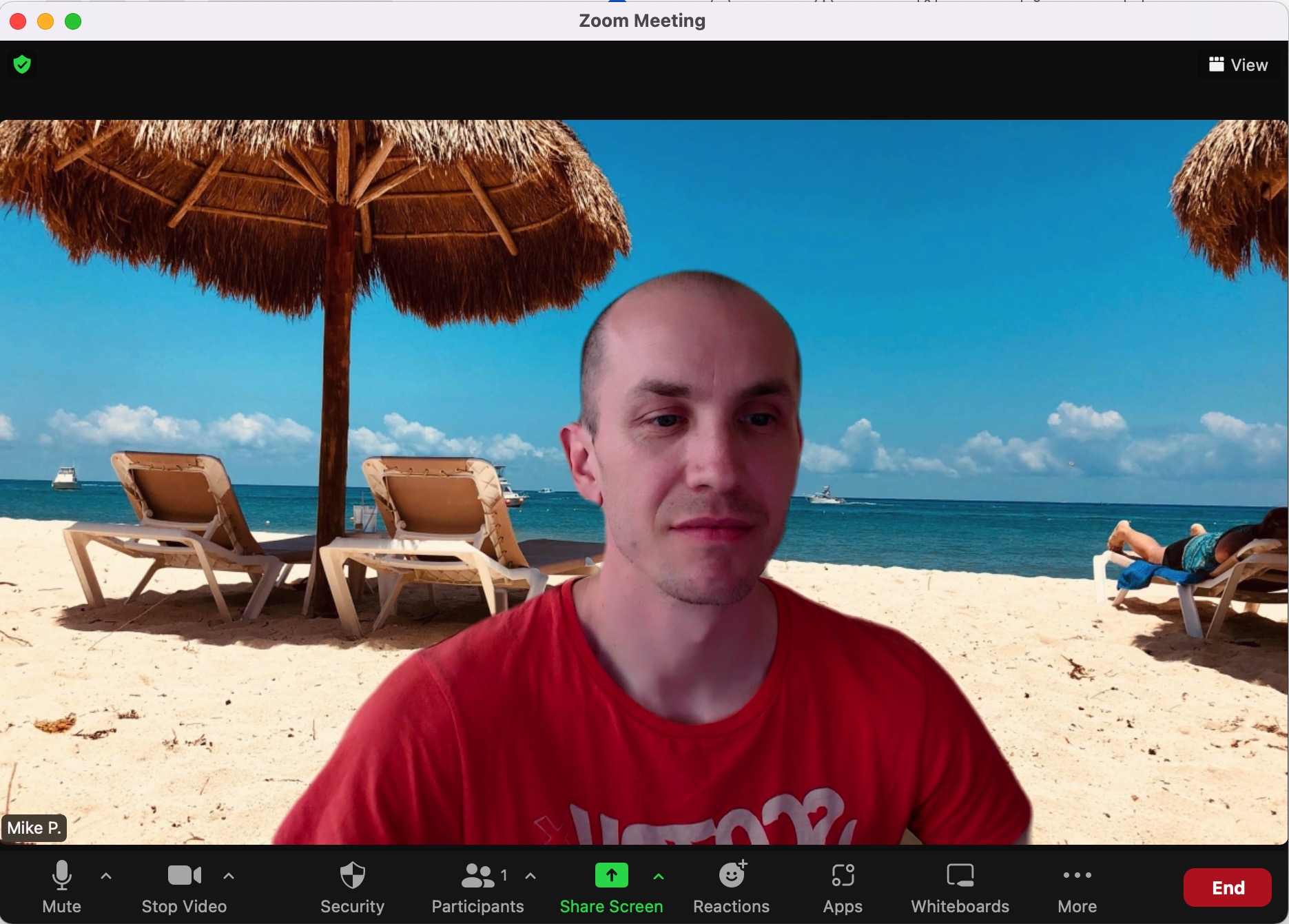 25 Best Beach Zoom Backgrounds (with Video)