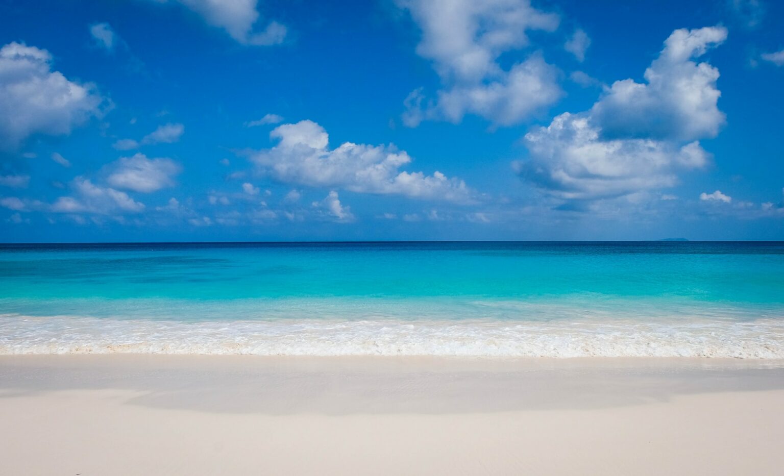 25 Best Beach Zoom Backgrounds (with Video)