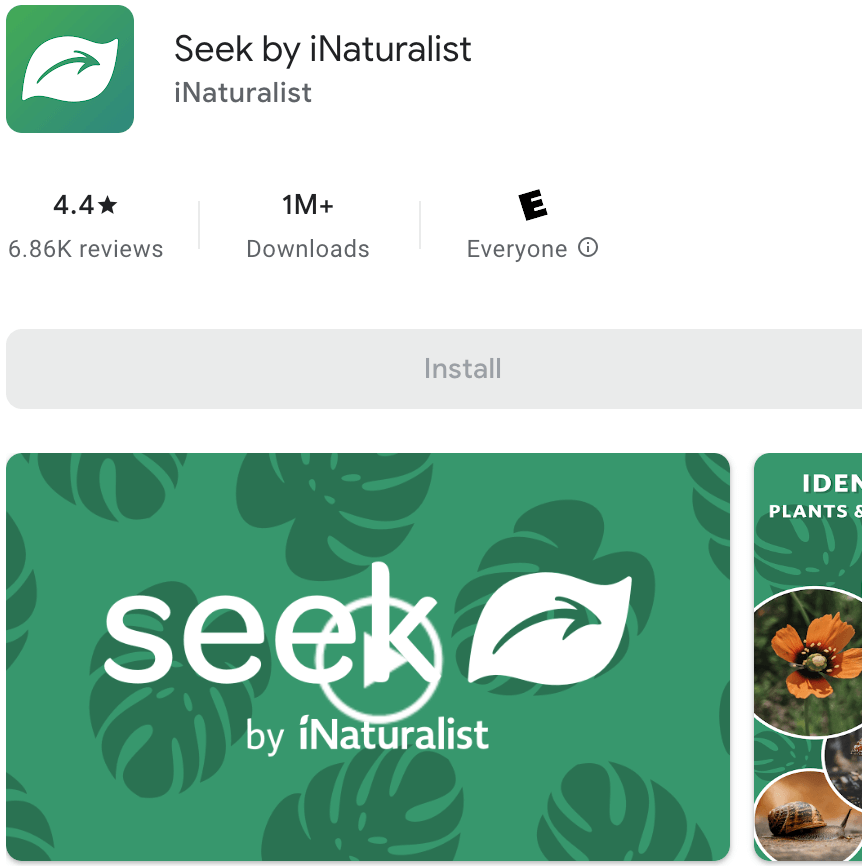 Seek Android app