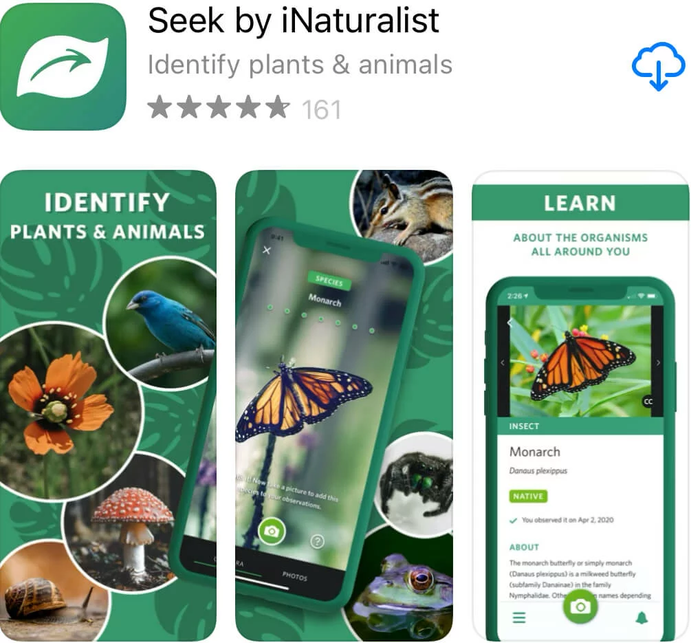 seek app