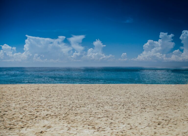 25 Best Beach Zoom Backgrounds (with Video)