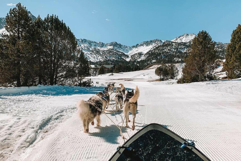 Dog Sledding in Andorra
