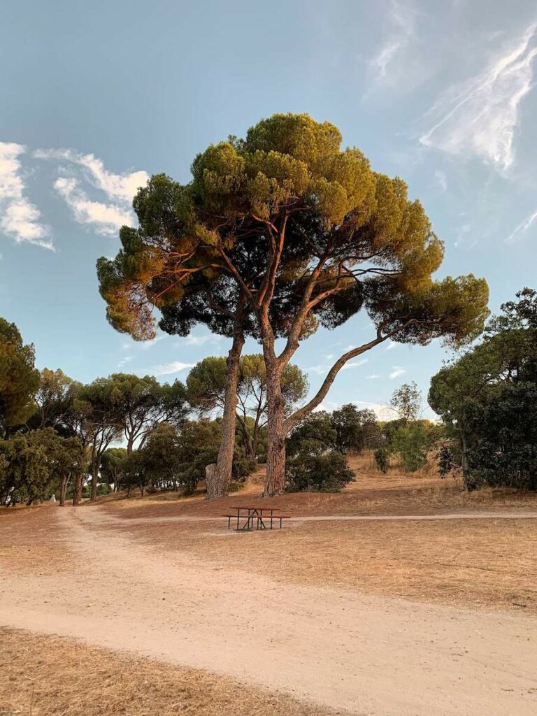 Casa de Campo park