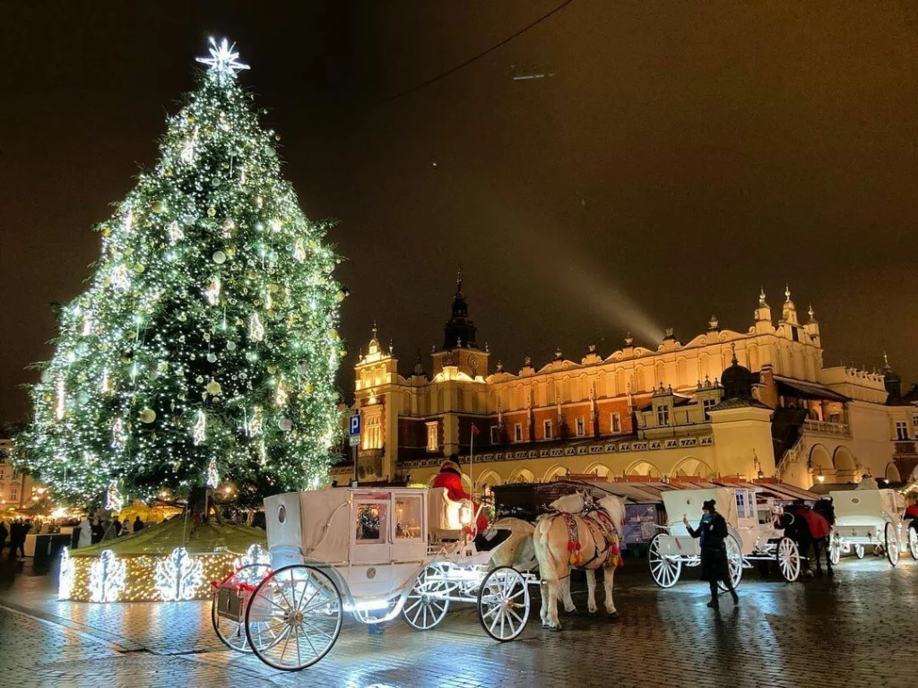 krakow horse carriage