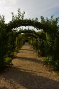 15 Best Day Trips From Berlin by Train and Bus Why this place