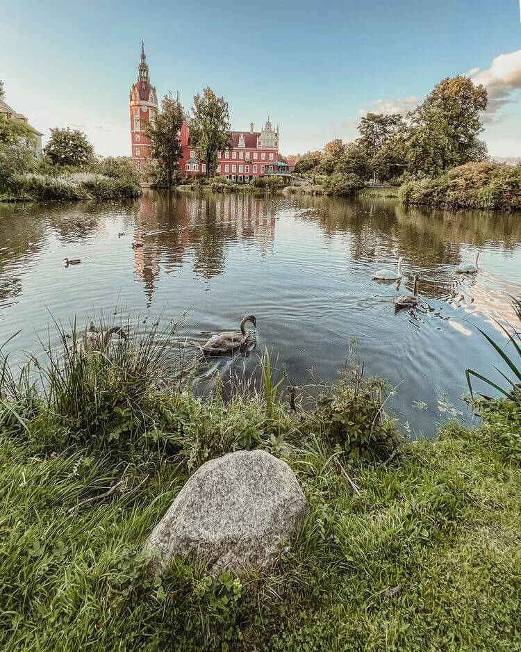 Kromlauer Park swans, Germany