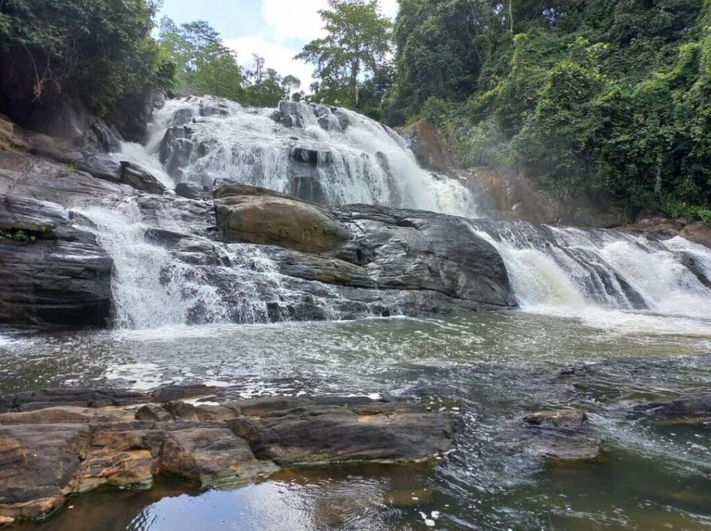Sinharaja forest waterfall entrance, Sri Lanka