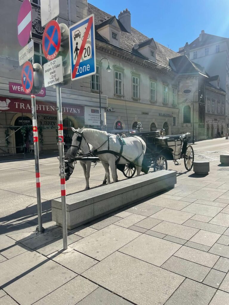 Horse carriage, Vienna