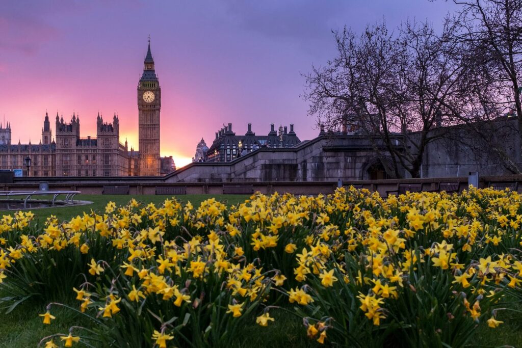 Houses of Parliament at night with flowers, London