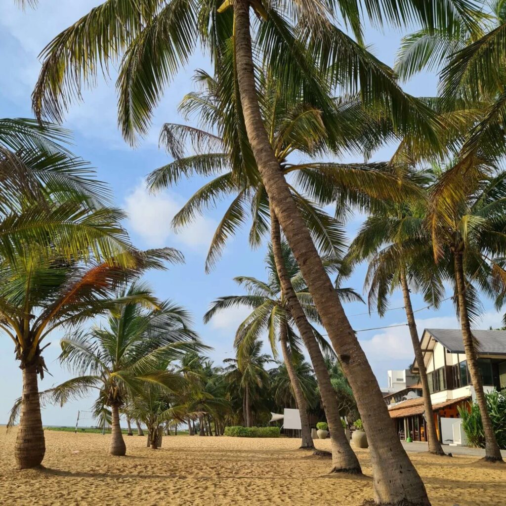 Negombo beach, Sri Lanka