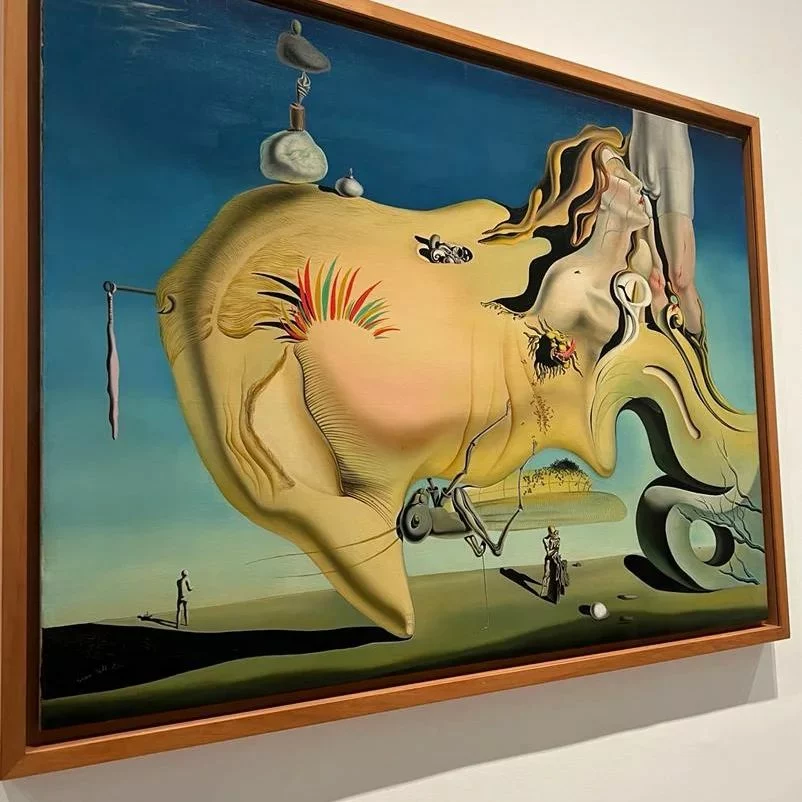 Salvador Dali painting at Reina Sofia Museum, Madrid