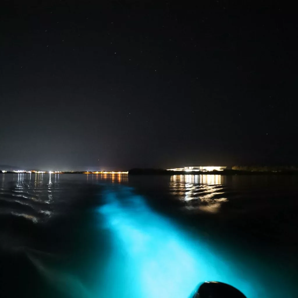 Luminous Lagoon, Falmouth, Jamaica