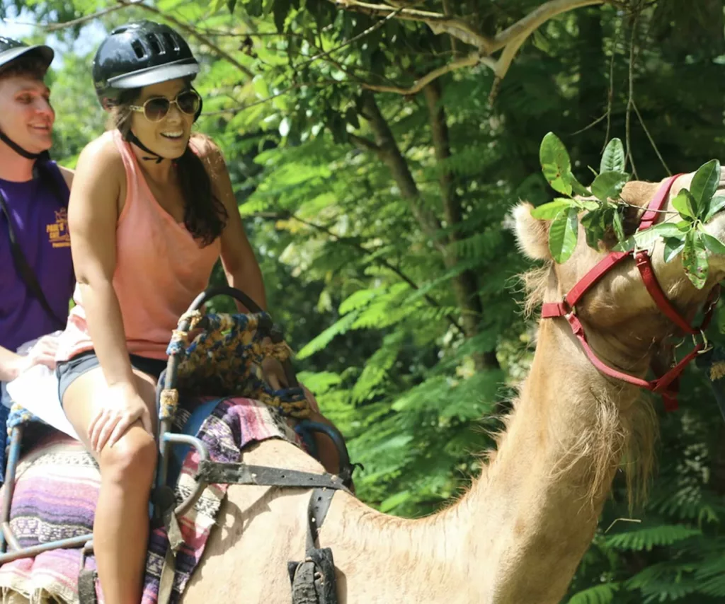 Yaaman Park Camel ride
