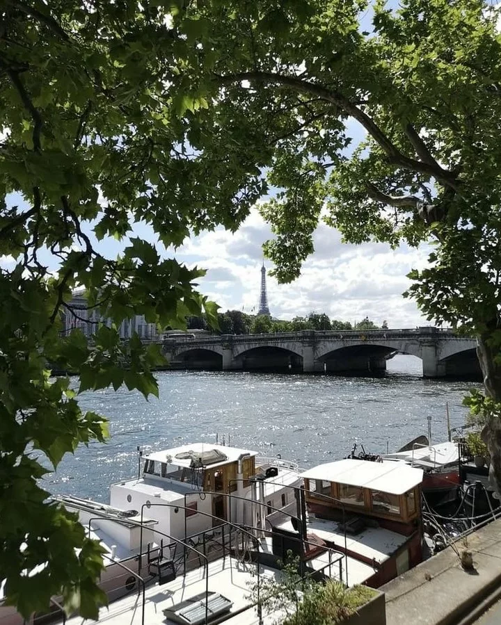 Paris Senna river view