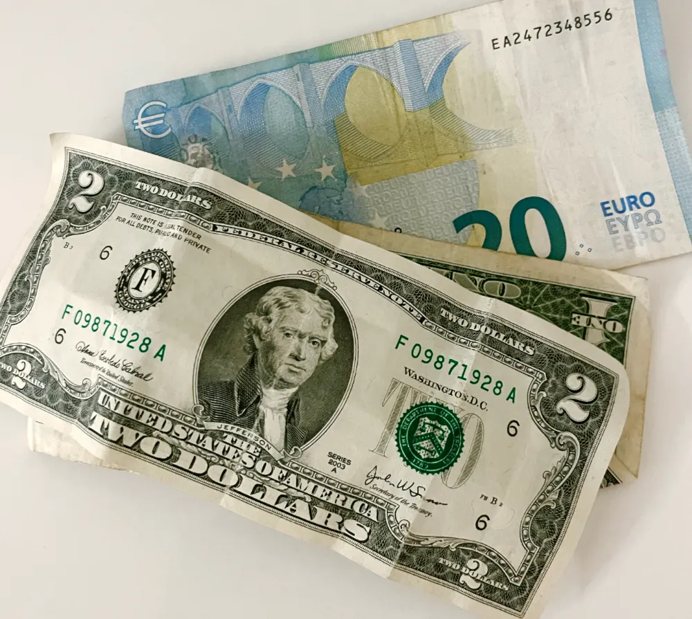 Should I pay in Euros or Dollars?