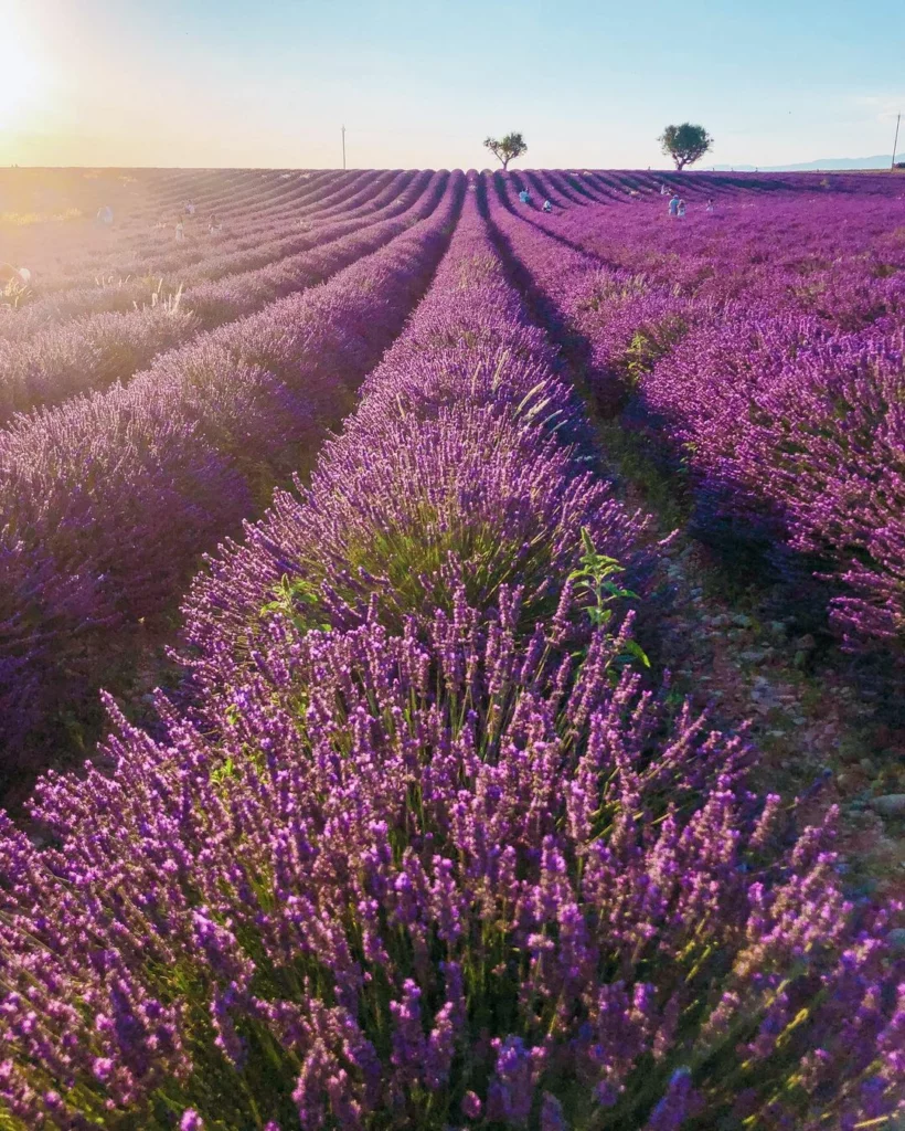 Provence, France