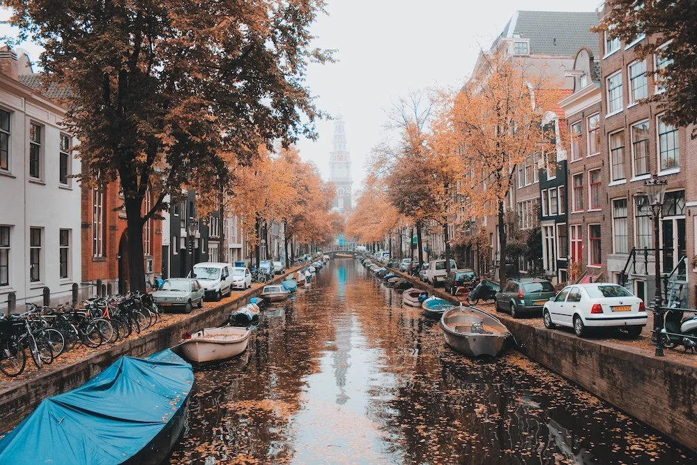 Best Time to Visit Netherlands