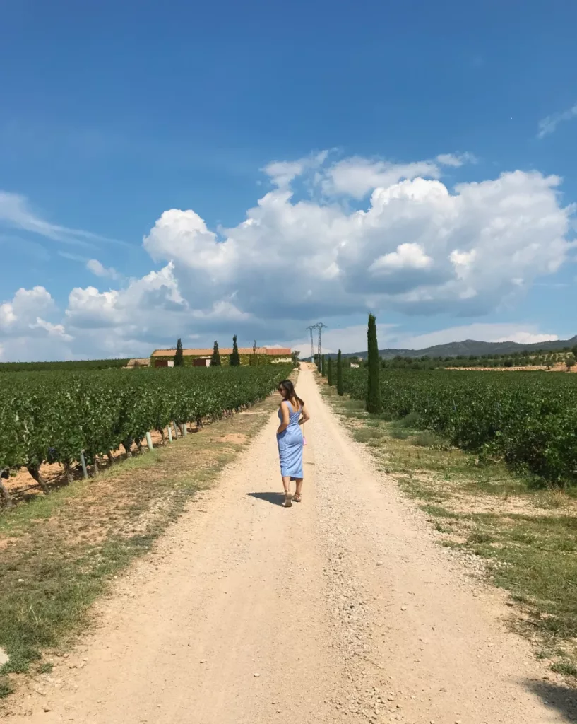 Chozas Carrascal vineyard near Valencia
