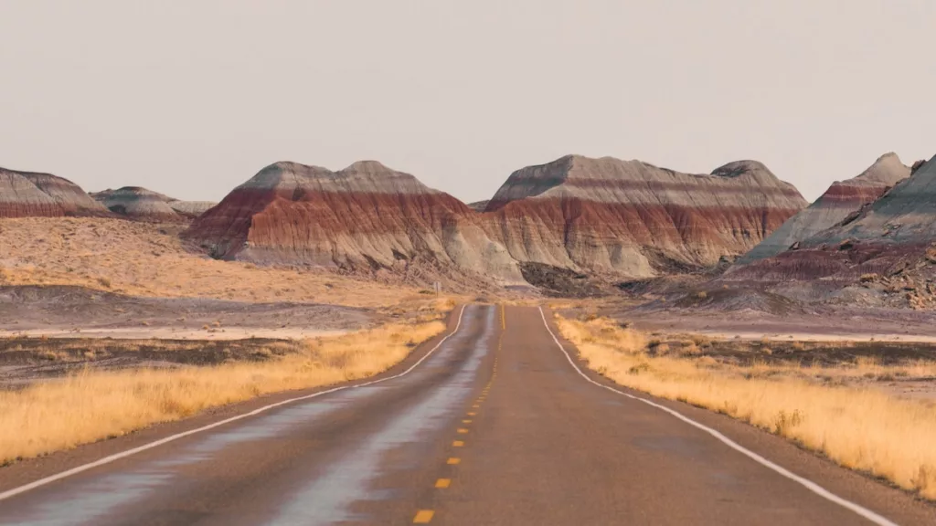 Petrified Forest National Park