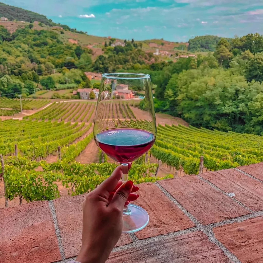 Tenuta Adamo Winery Glass