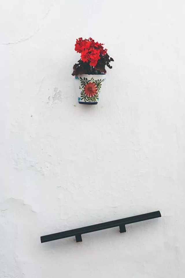 Red geraniums, Frigiliana, Spain