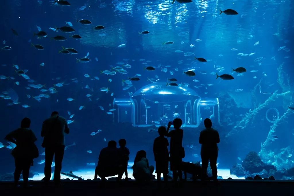 Palma Aquarium 2
