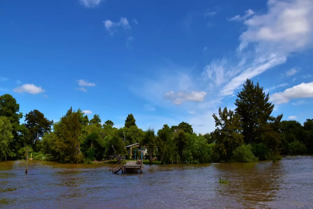 Tigre Argentina