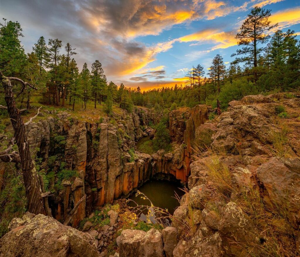 Kaibab National Forest