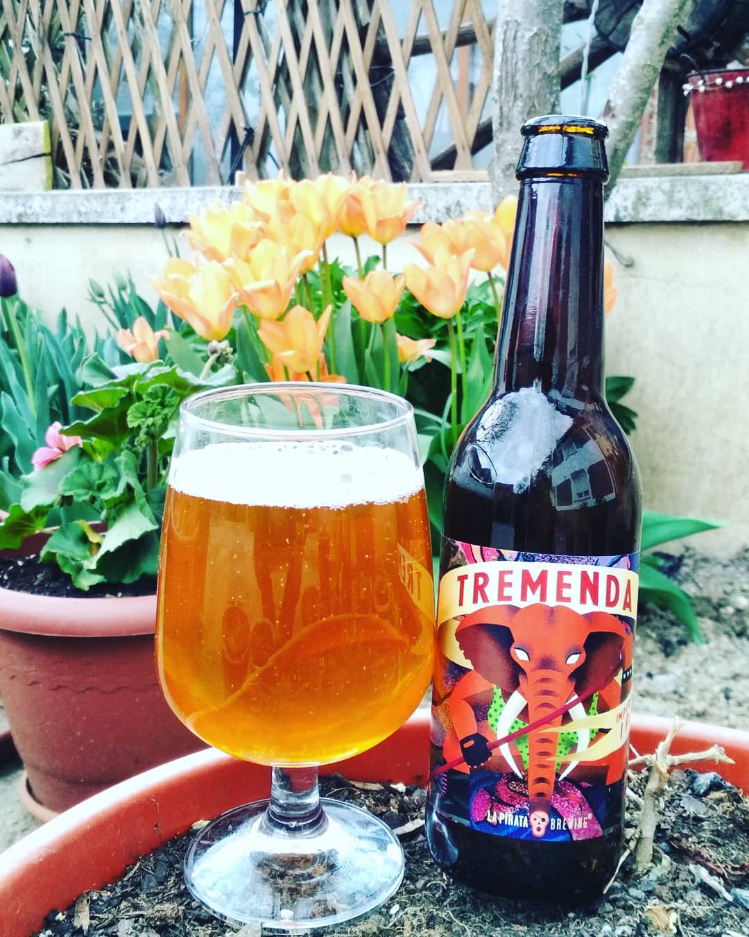 15 Best Spanish Beers & Brands You Should Try