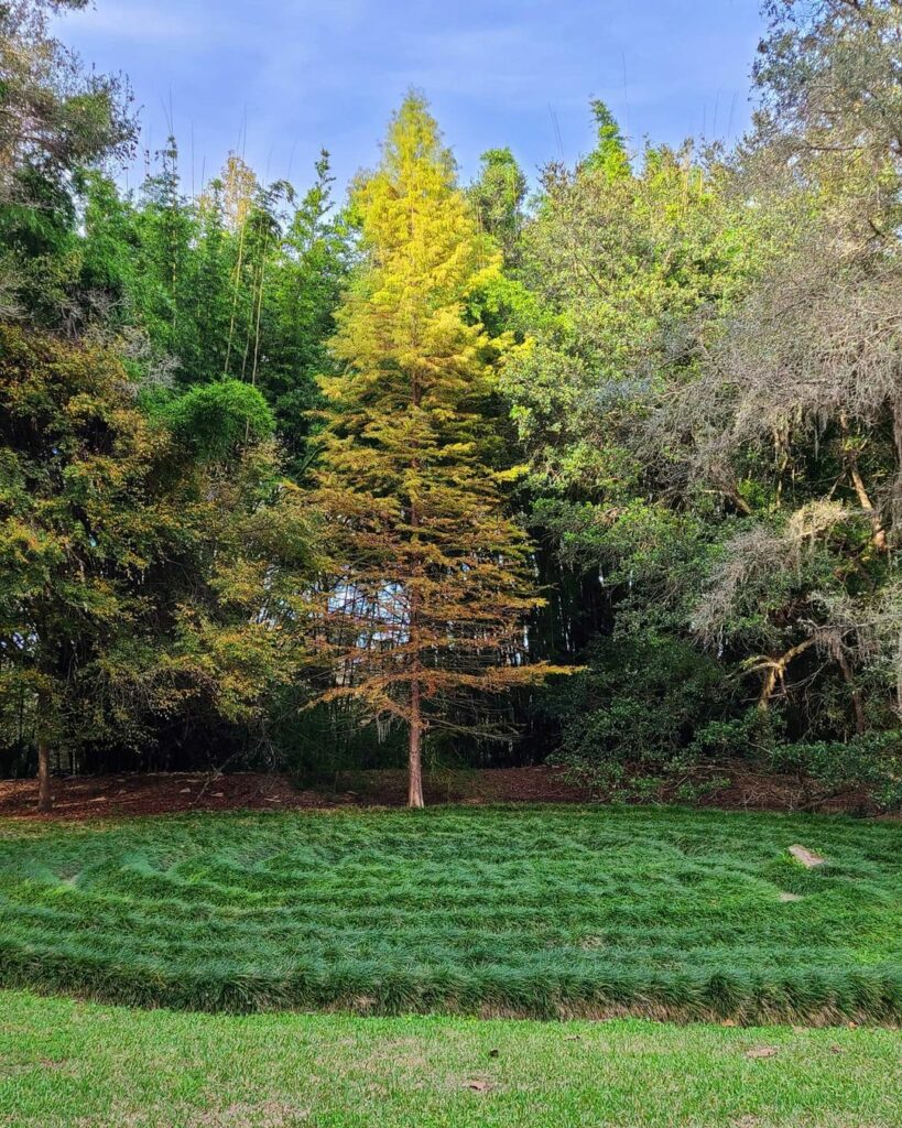 Kanapaha Botanical Gardens