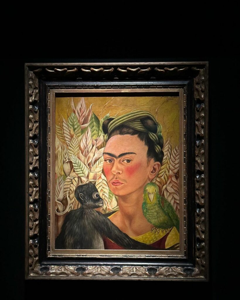 Malba Frida Kahlo