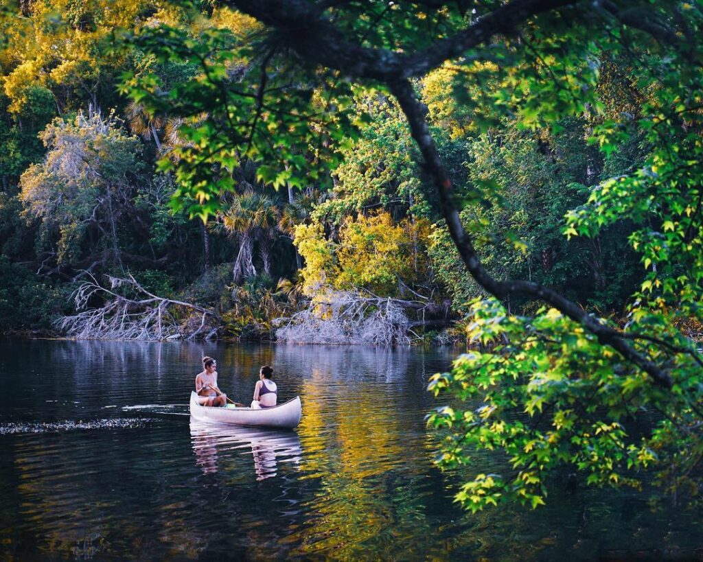 Ocala National Forest