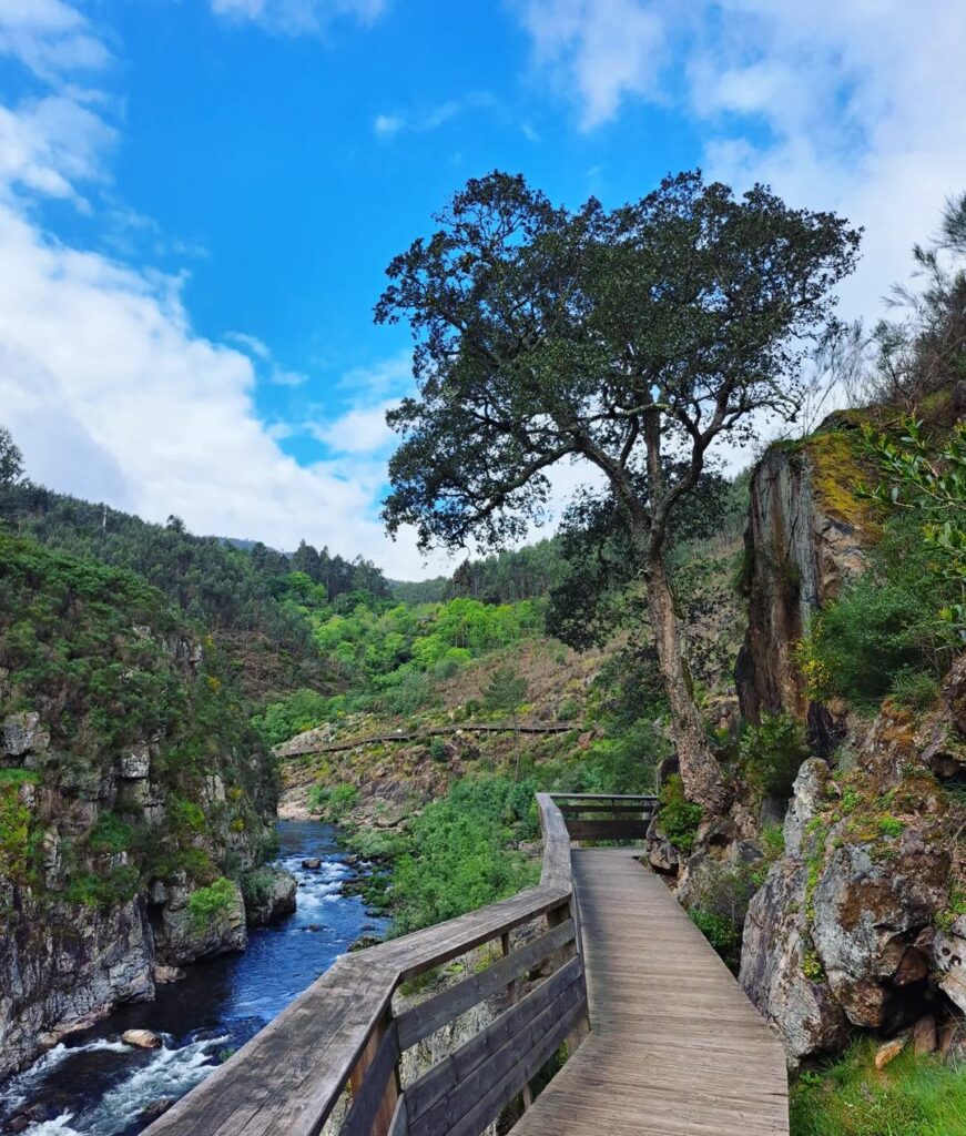 Passadicos do Paiva