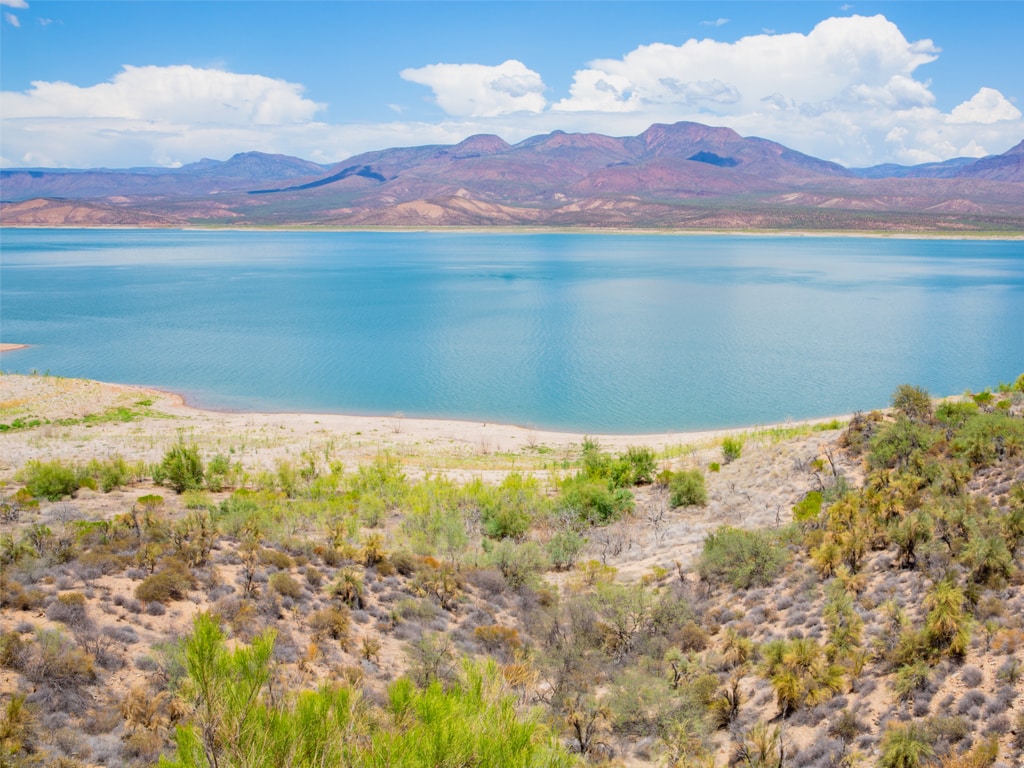 Roosevelt Lake Beach 1