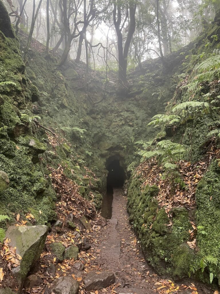 Tunnel Madeira