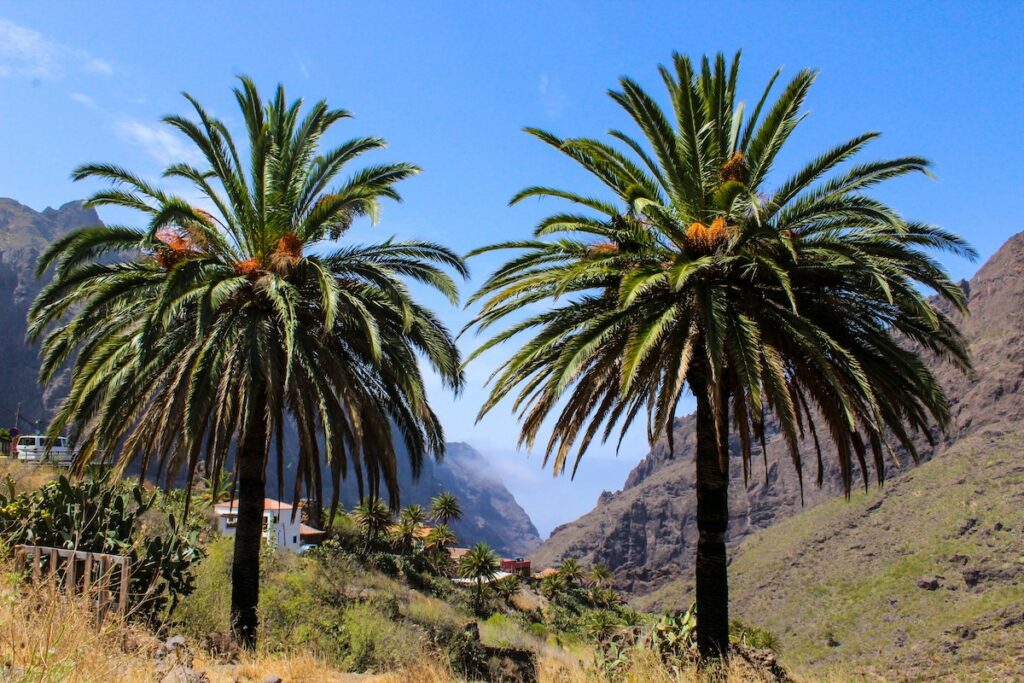 Weather in Tenerife