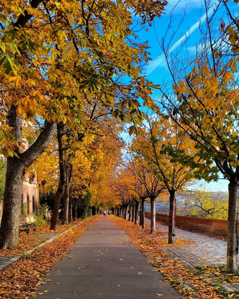 Budapest Autumn 2