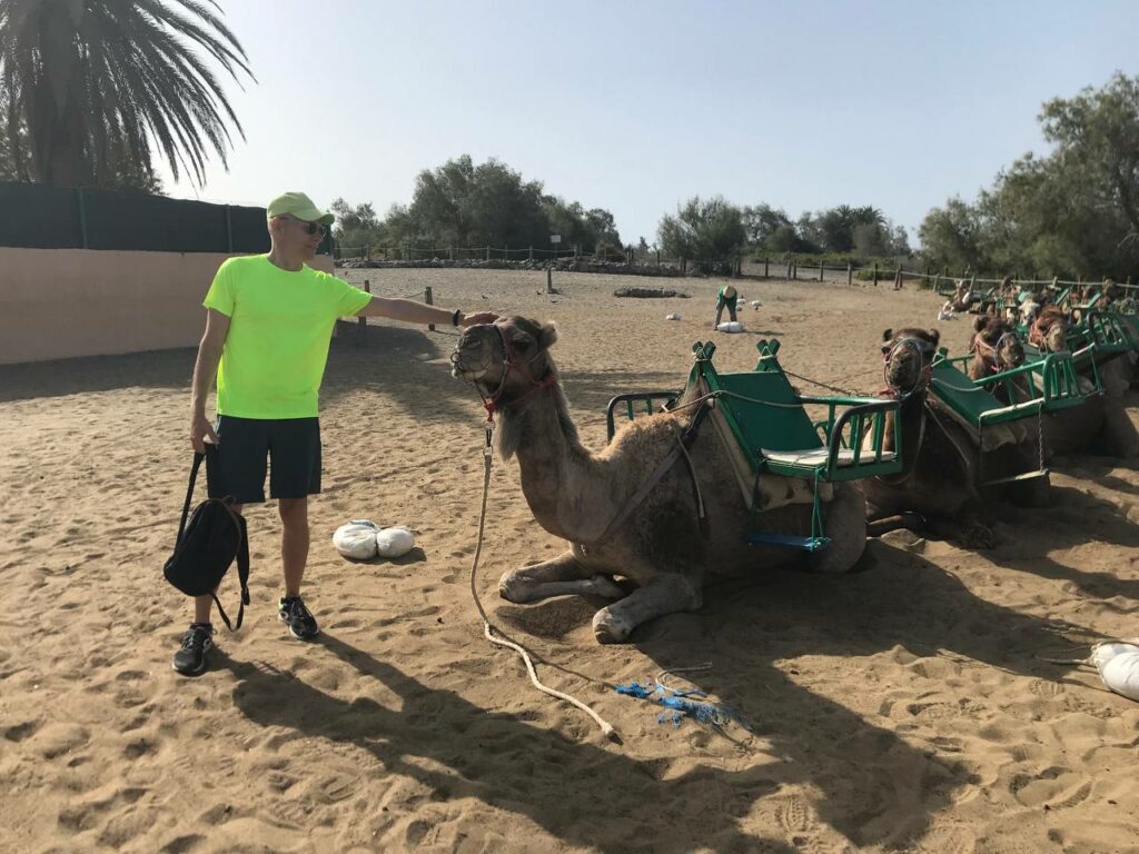 Camel Rides Maspalomas 2