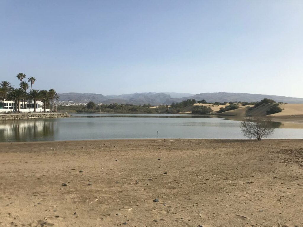 Charca de Maspalomas