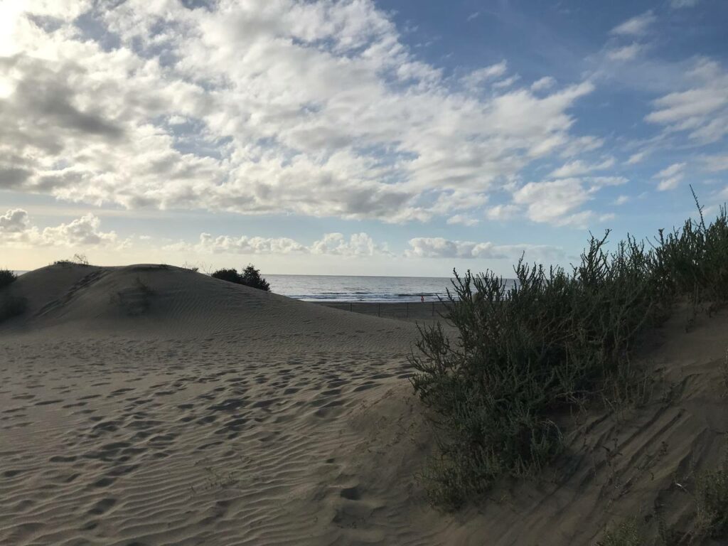 Dunes Maspalomas