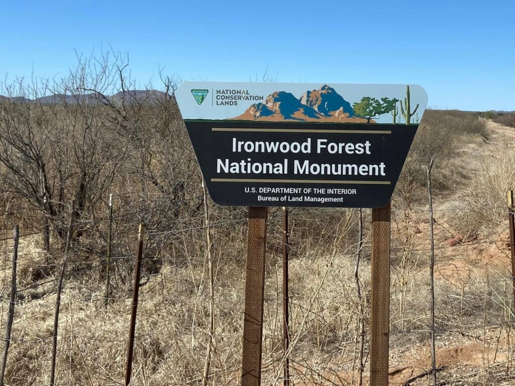 Ironwood Forest National Monument 1