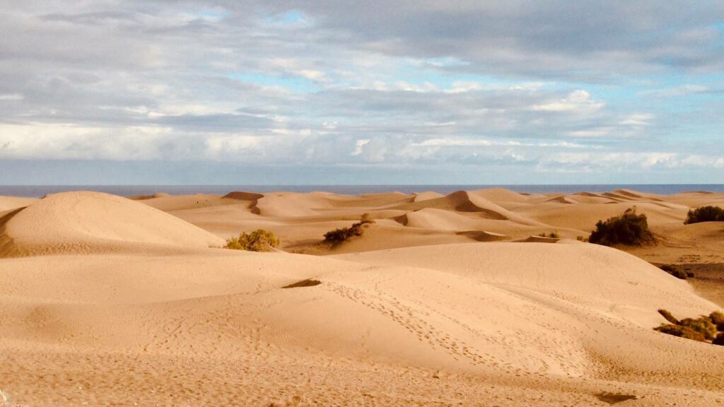 Maspalomas Dunes