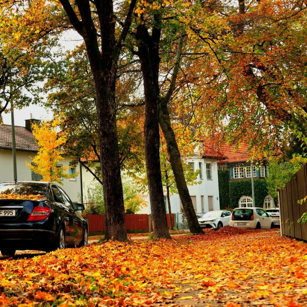 Munich Autumn