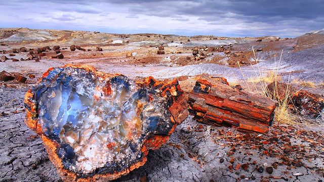 Petrified Forest National Park 3