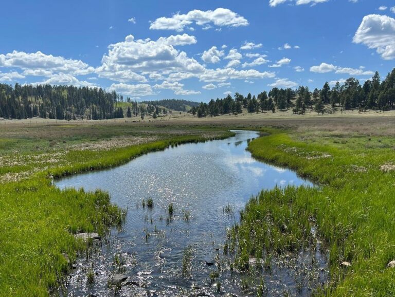 Explore The White Mountains Of Arizona My Guidebook With Map Alpine Arizona 1 768x578