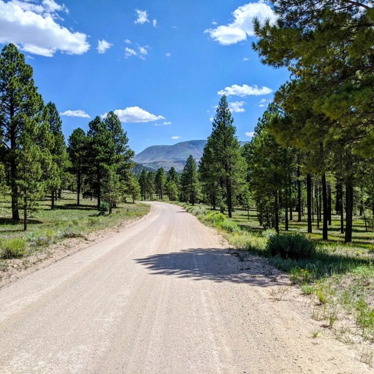 Explore The White Mountains Of Arizona My Guidebook With Map Alpine Arizona 2 768x768