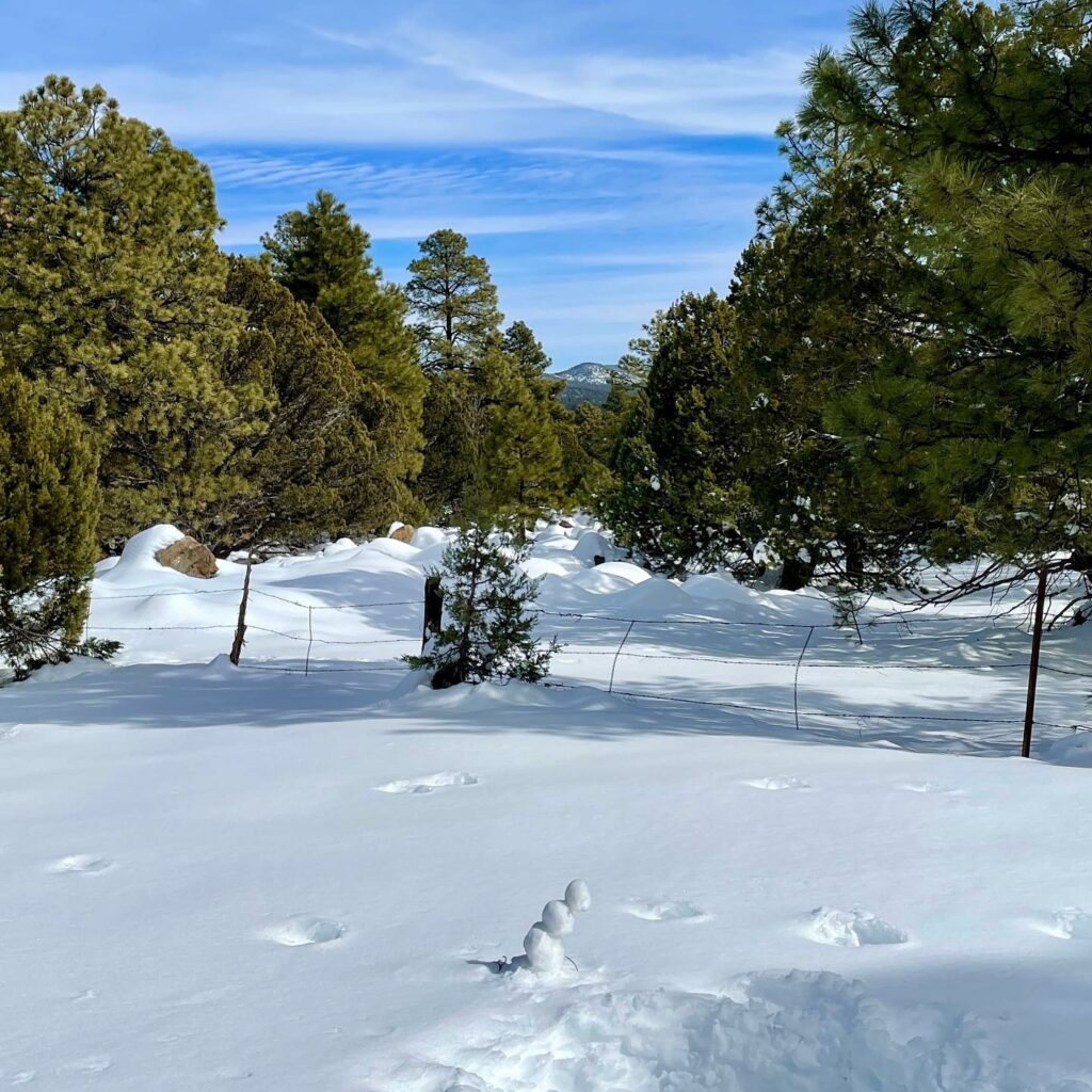 Benham Snow Play Area 2