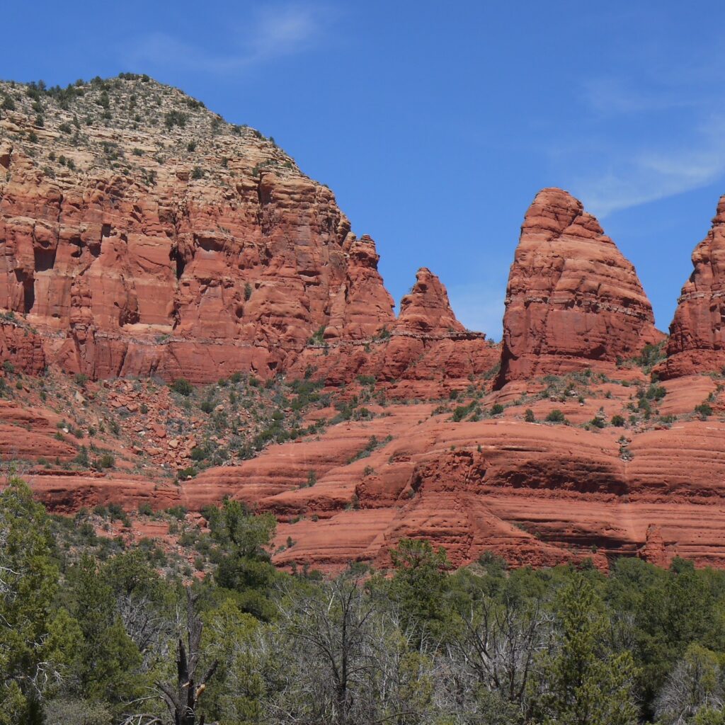 Coconino National Forest 1