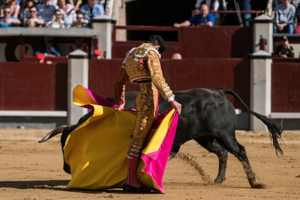 Corrida Spain 2